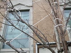s_121203-2.jpg