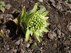 s_130405.jpg