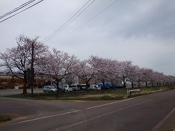 s_130426-05.jpg