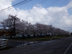 s_130426-07.jpg