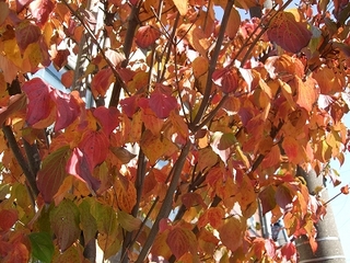 s_131108-02.jpg
