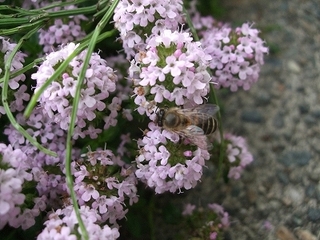 s_160509-2.jpg
